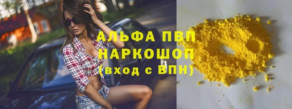сатива Баксан