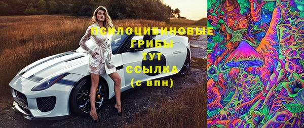 сатива Баксан