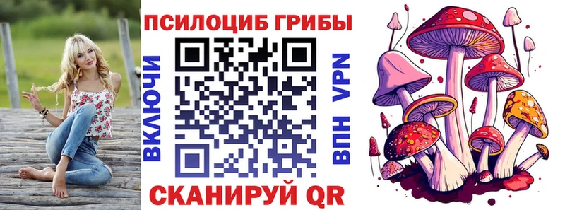 Купить  Гаджиево  Галлюциногенные грибы ЛСД 